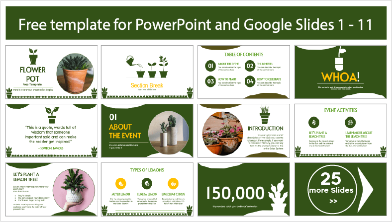 Kostenlos herunterladbare Blumentopf-Vorlagen für PowerPoint und Google Slides.