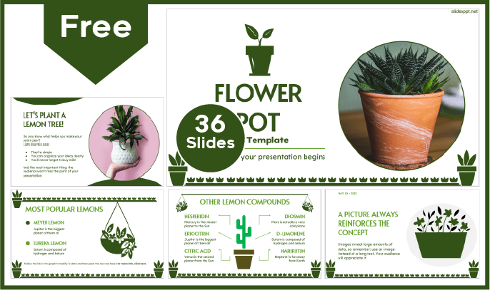 Modelo de vaso floral gratuito para PowerPoint e Google Slides.