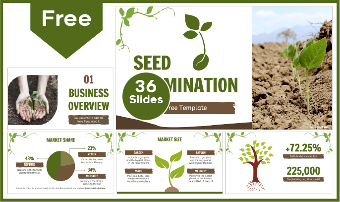 Free Seed Germination Template for PowerPoint and Google Slides.