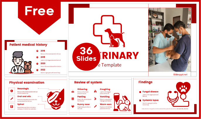 Free Veterinary Template for PowerPoint and Google Slides.