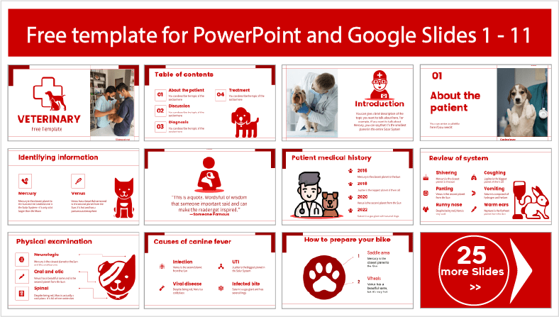 Veterinärmedizinische Vorlagen zum kostenlosen Download in PowerPoint und Google Slides.