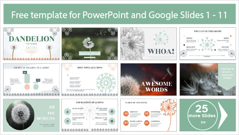 Modèles de pissenlit à télécharger gratuitement dans PowerPoint et Google Slides.