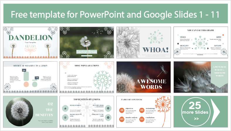 Plantillas de Diente de León para descargar gratis en PowerPoint y Google Slides.