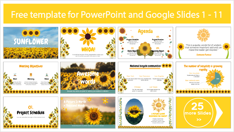 Modèles de tournesol à télécharger gratuitement en format PowerPoint et Google Slides.