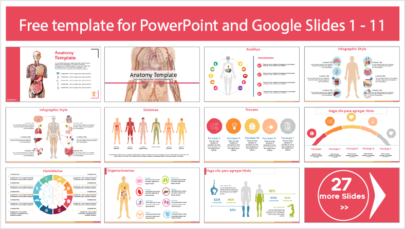 Téléchargez gratuitement des modèles PowerPoint et des thèmes Google Slides pour Anatomie humaine.