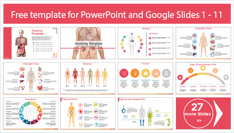 Descargar gratis plantillas de Anatomía Humana para PowerPoint y temas Google Slides.