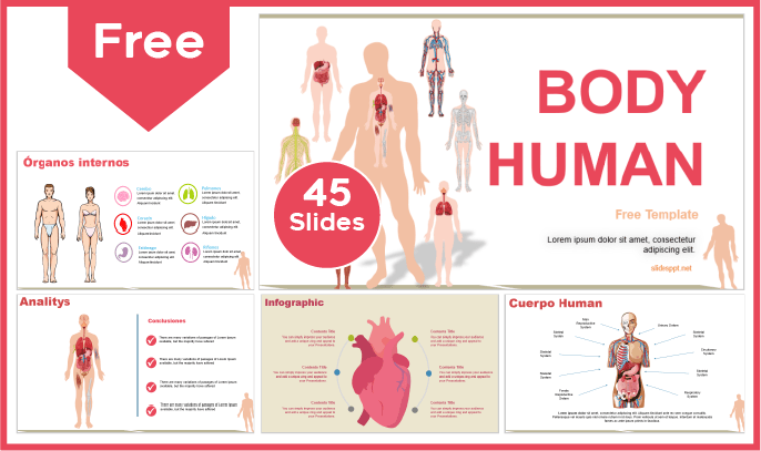 Modelo gratuito de corpo humano para PowerPoint e Google Slides.