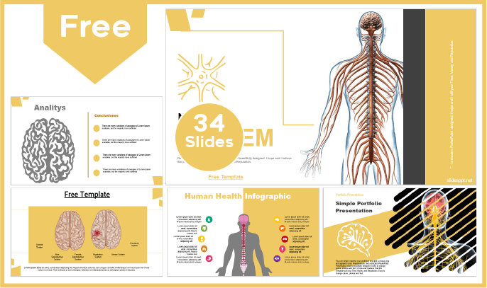 Free Nervous System Template for PowerPoint and Google Slides.