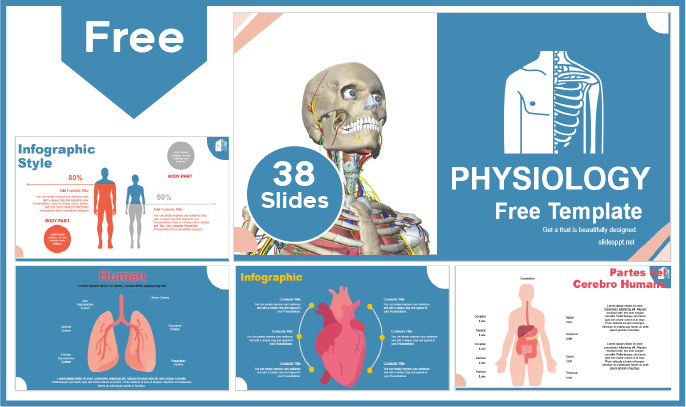 Modèle gratuit de physiologie pour PowerPoint et Google Slides.