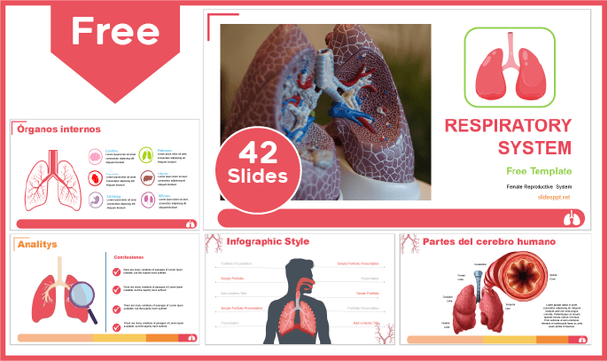 Free Respiratory System Template for PowerPoint and Google Slides.