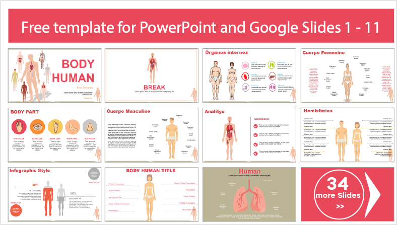 Téléchargez gratuitement des modèles de corps humain pour les thèmes PowerPoint et Google Slides.