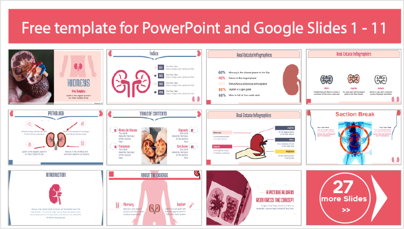 Téléchargez gratuitement des modèles de rein humain pour les thèmes PowerPoint et Google Slides.