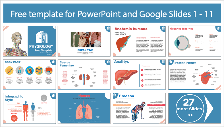 Descargar gratis plantillas de Fisiología para PowerPoint y temas Google Slides.