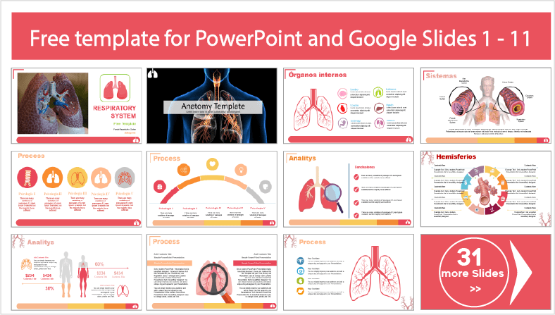 Téléchargez des modèles gratuits de thèmes sur le système respiratoire pour PowerPoint et Google Slides.