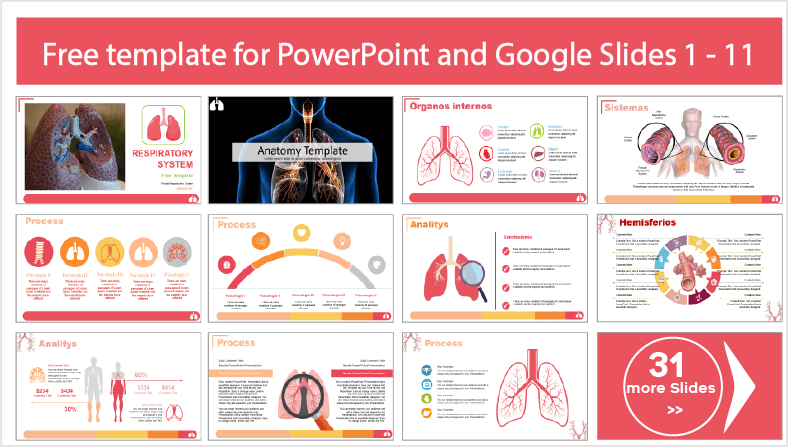 respiratory-system-template-powerpoint-templates-and-google-slides