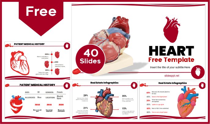 Free human heart template for PowerPoint and Google Slides.