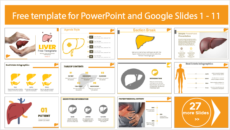Descargar gratis plantillas del Hígado Humano para PowerPoint y temas Google Slides.