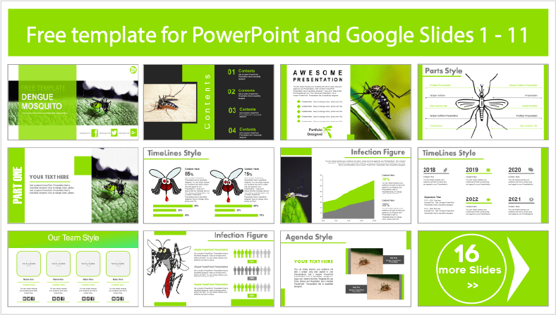 Descargar gratis plantillas de Mosquito del Dengue para PowerPoint y temas Google Slides.
