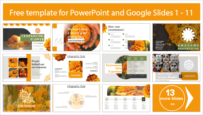 Free downloadable Cempasúchil flowers templates for PowerPoint and Google Slides themes.