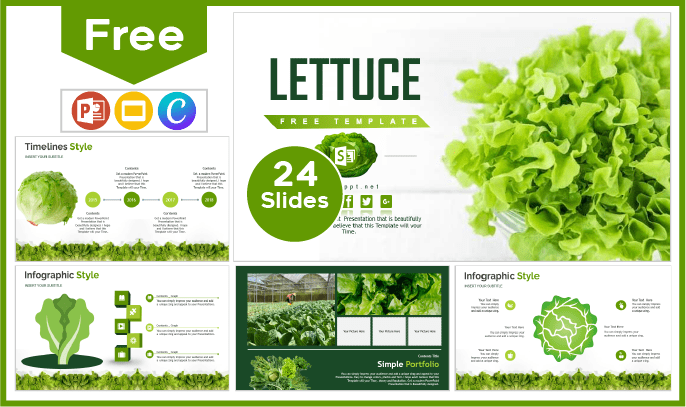 Free Lettuce Template for PowerPoint and Google Slides.