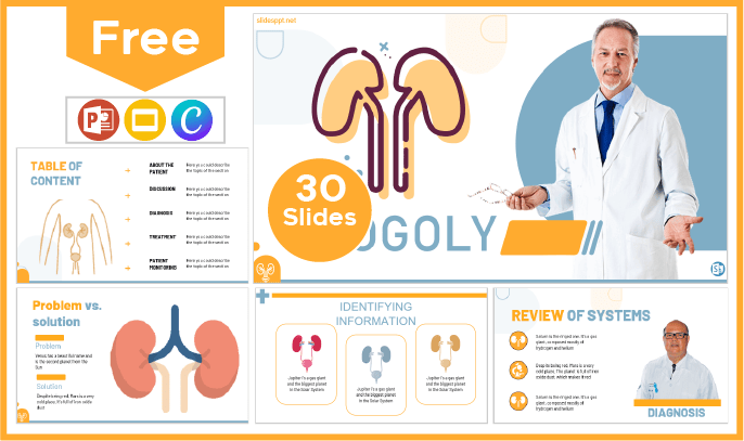 Free Urology Template for PowerPoint and Google Slides.