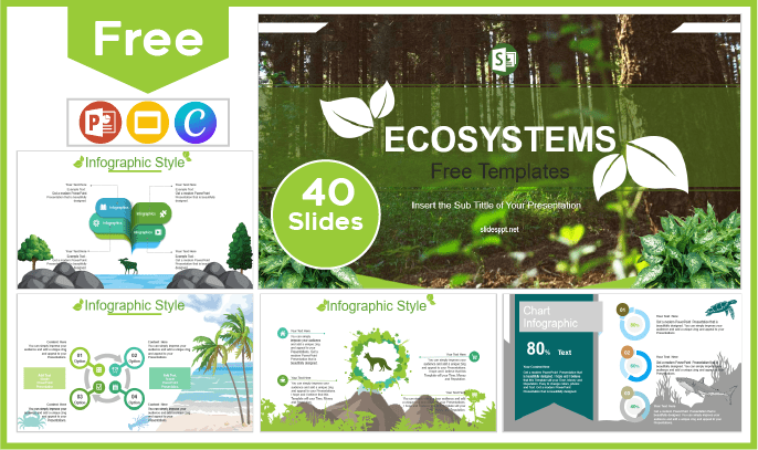 Modelo gratuito de tipos de ecossistema para PowerPoint e Google Slides.
