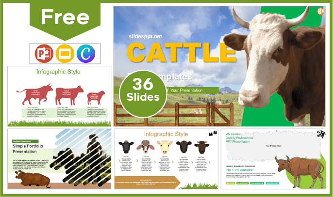 Free Cattle Template for PowerPoint and Google Slides.