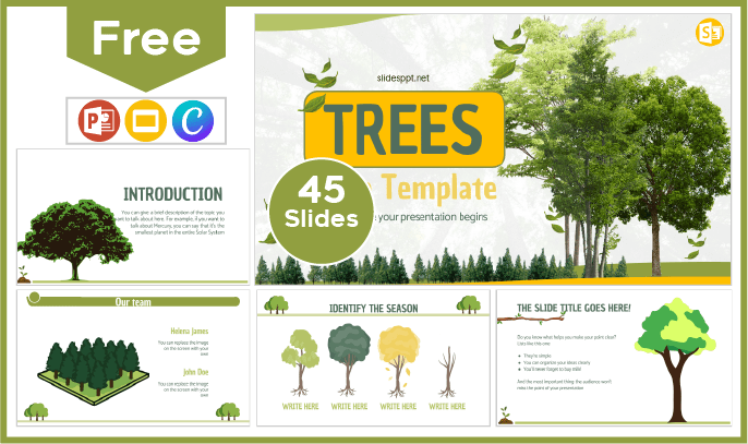 Free tree type template for PowerPoint and Google Slides.