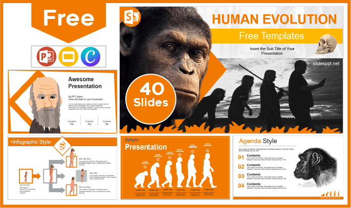 Free Human Evolution Template for PowerPoint and Google Slides.