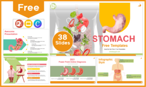 Free Stomach Template for PowerPoint and Google Slides.