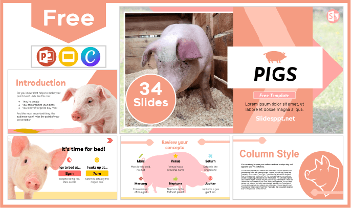 Plantilla de Cerdos gratis para PowerPoint y Google Slides.