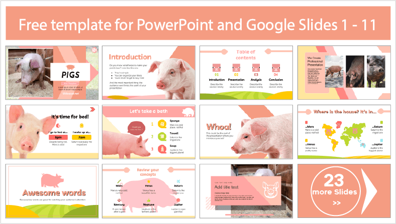Descargar gratis plantillas de Cerdos para PowerPoint y temas Google Slides.