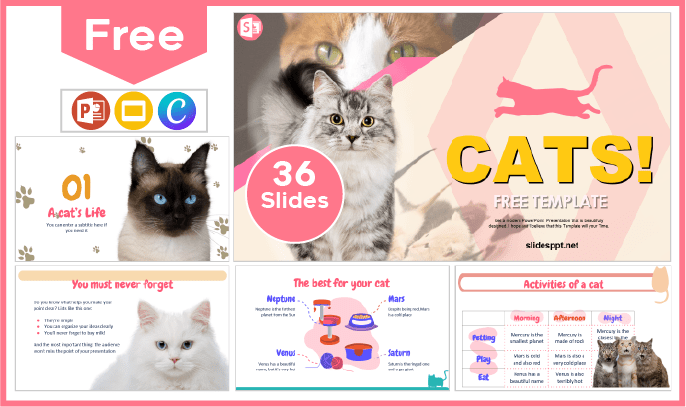 Free Cats Template for PowerPoint and Google Slides.