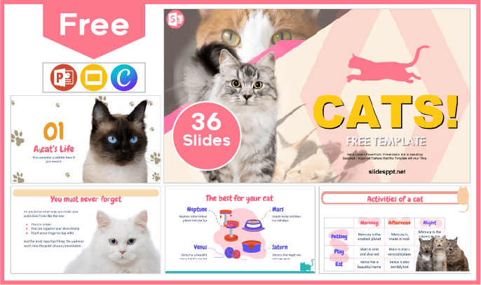 Modèle gratuit de chats pour PowerPoint et Google Slides.