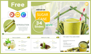 Free Sugar Cane Template for PowerPoint and Google Slides.