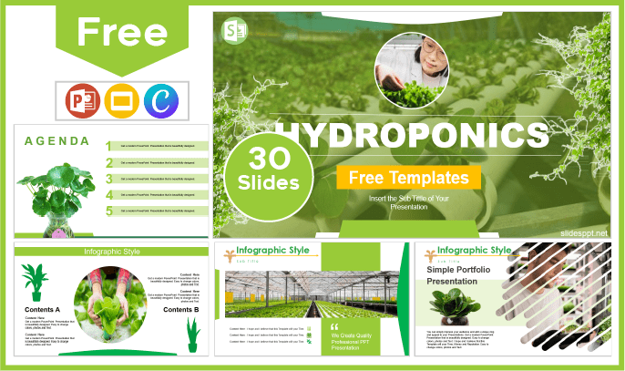 Free Hydroponics Template for PowerPoint and Google Slides.