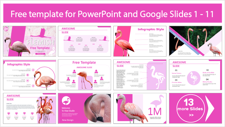 Laden Sie kostenlose Flamingo-Vorlagen für PowerPoint- und Google Slides-Themen herunter.