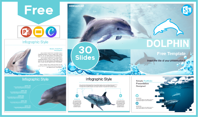 Free Dolphin Template for PowerPoint and Google Slides.