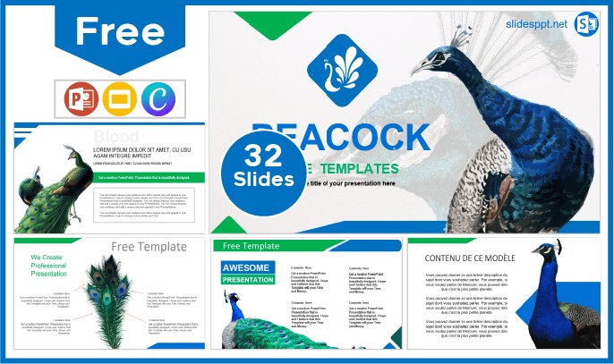 Free Peacock Template for PowerPoint and Google Slides