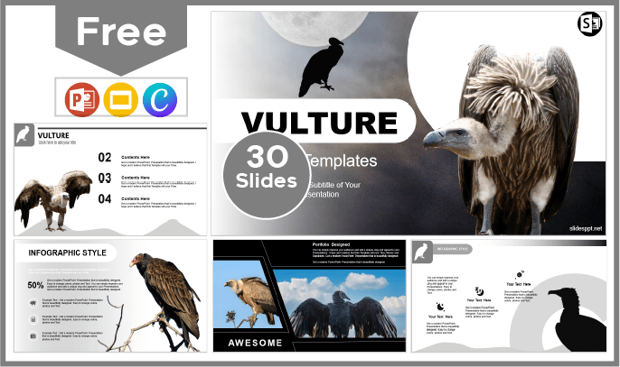 Free Vulture Template for PowerPoint and Google Slides