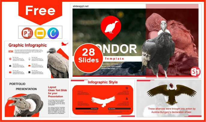 Free Condor Template for PowerPoint and Google Slides