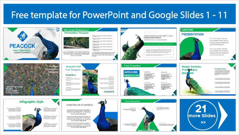 Descargar gratis plantillas de Pavo Real para PowerPoint y temas Google Slides.