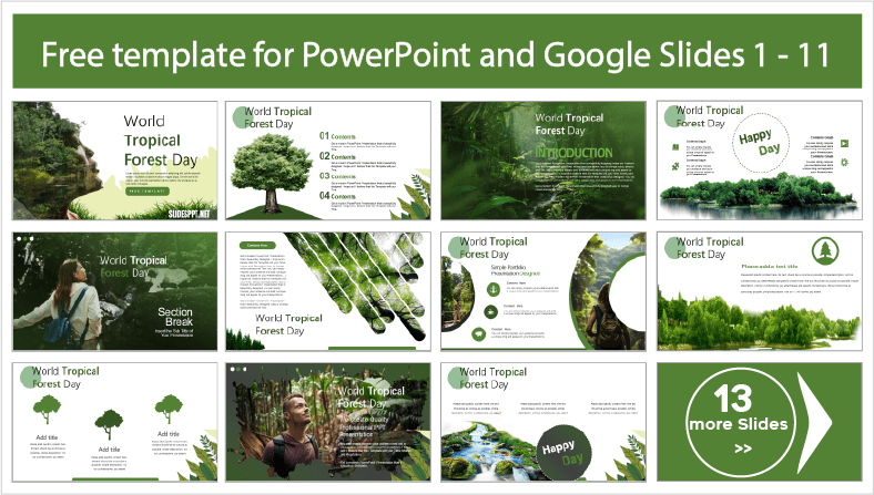 Laden Sie kostenlose Vorlagen zum Weltregenwaldtag für PowerPoint- und Google Slides-Themen herunter.